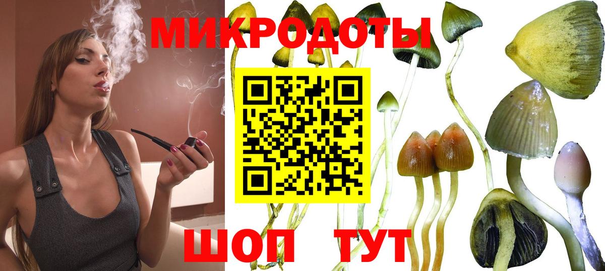 Черногорск  Псилоцибиновые грибы мухоморы  Вход с VPN  Галлюциногенные грибы прущие грибы 